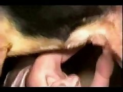 Video De Sexo As Coroas