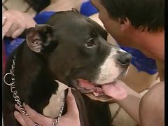 Video De Sexo Com Gozada Dentro