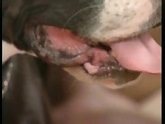 Video De Sexo Com Gozada Dentro