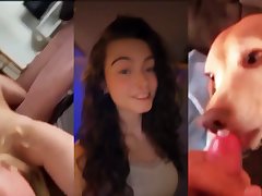 سكس حيونات