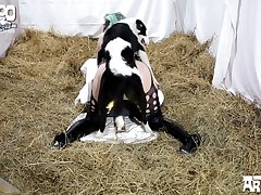 Doggy Sex