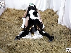 Sex With Horse