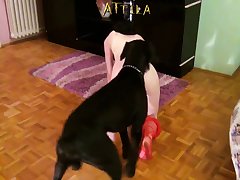 Sexo Com Cadela