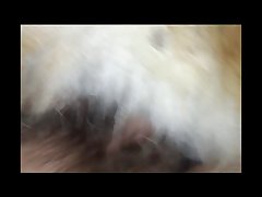 Porno Zofilia