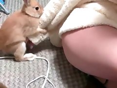 Girl Sex With Animals