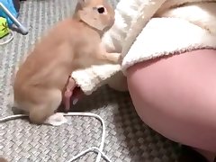Girl Sex With Animals