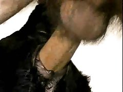 Sesso Con Cane