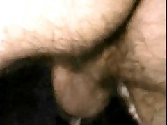 Sesso Con Cane