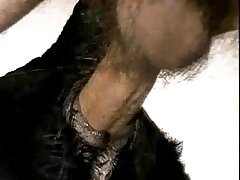 Sesso Con Cane