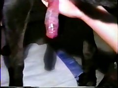 Sexo Con Perro