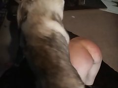 Female Beastiality