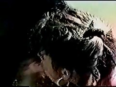 Filmes Pornôs Com Animais