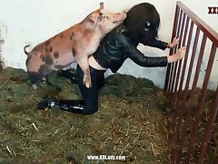 Animal Sex Man