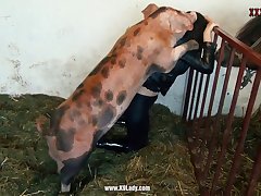 Animal Sex Man