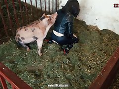 Animal Sex Man