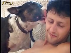 Videos Of Animals Having Sex